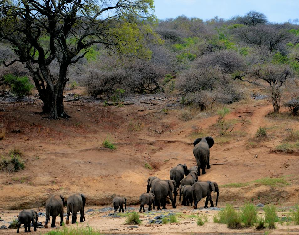 Get to Know Zimbabwe’s Largest National Park