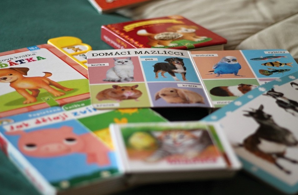 Six toddlers' animal books scattered around