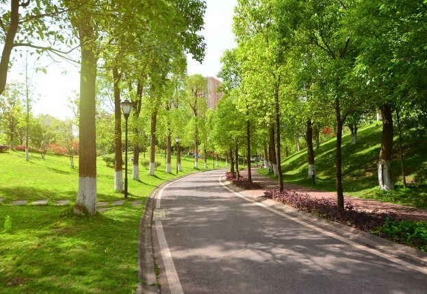 a lush green park with a walking track