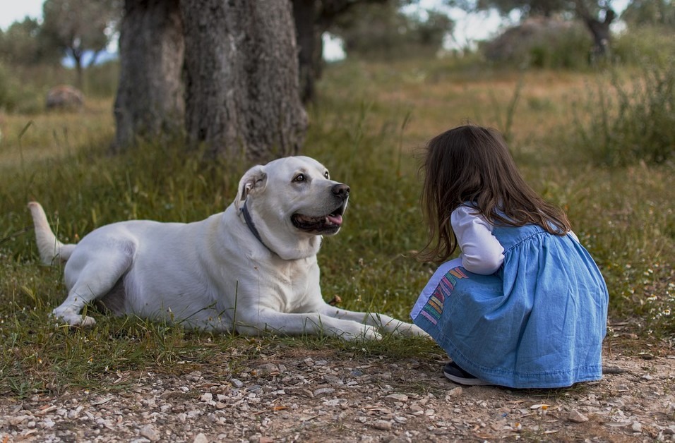 kid-dog-outdoors-little-girl-girl