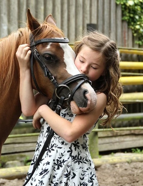 pony-girl-horse-child-animal