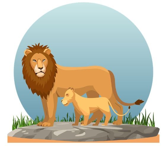 a vector image of a lion and its cub on top of a slab of rock and surrounded by grass