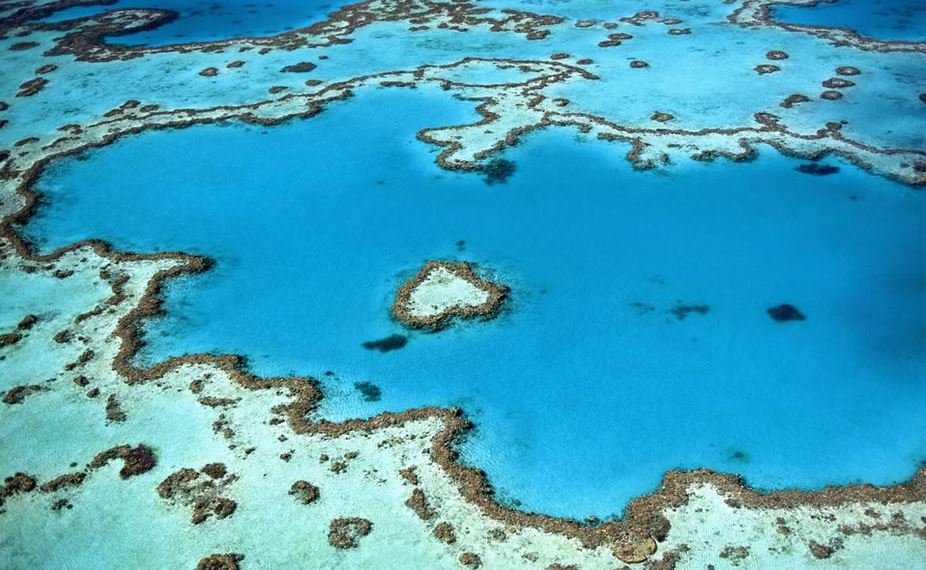Learn About the Amazing Great Barrier Reef