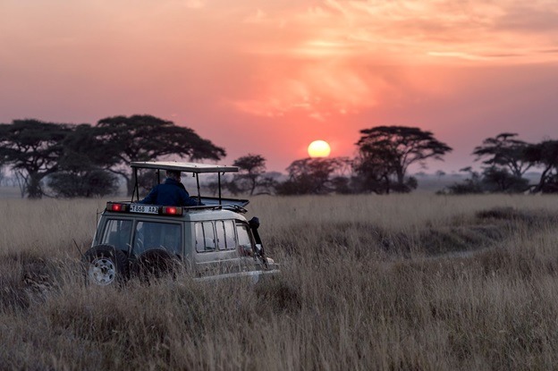 South African Safaris - Balancing Your Expectations