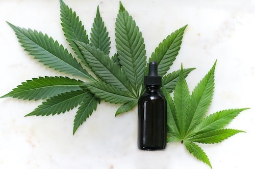 Advanced legalization of medical marijuana is very important