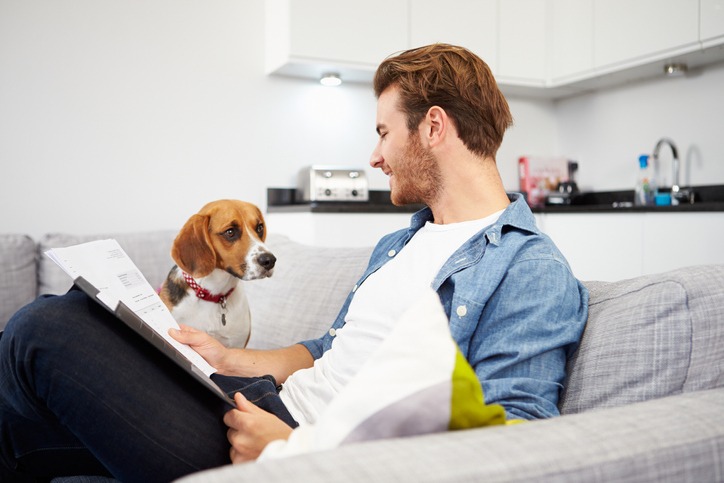 Man Looking At Paperwork And Playing With Dog At Home