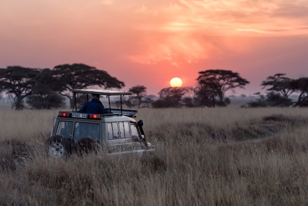 6 Ways Students Benefit From a Wildlife Safari Experience