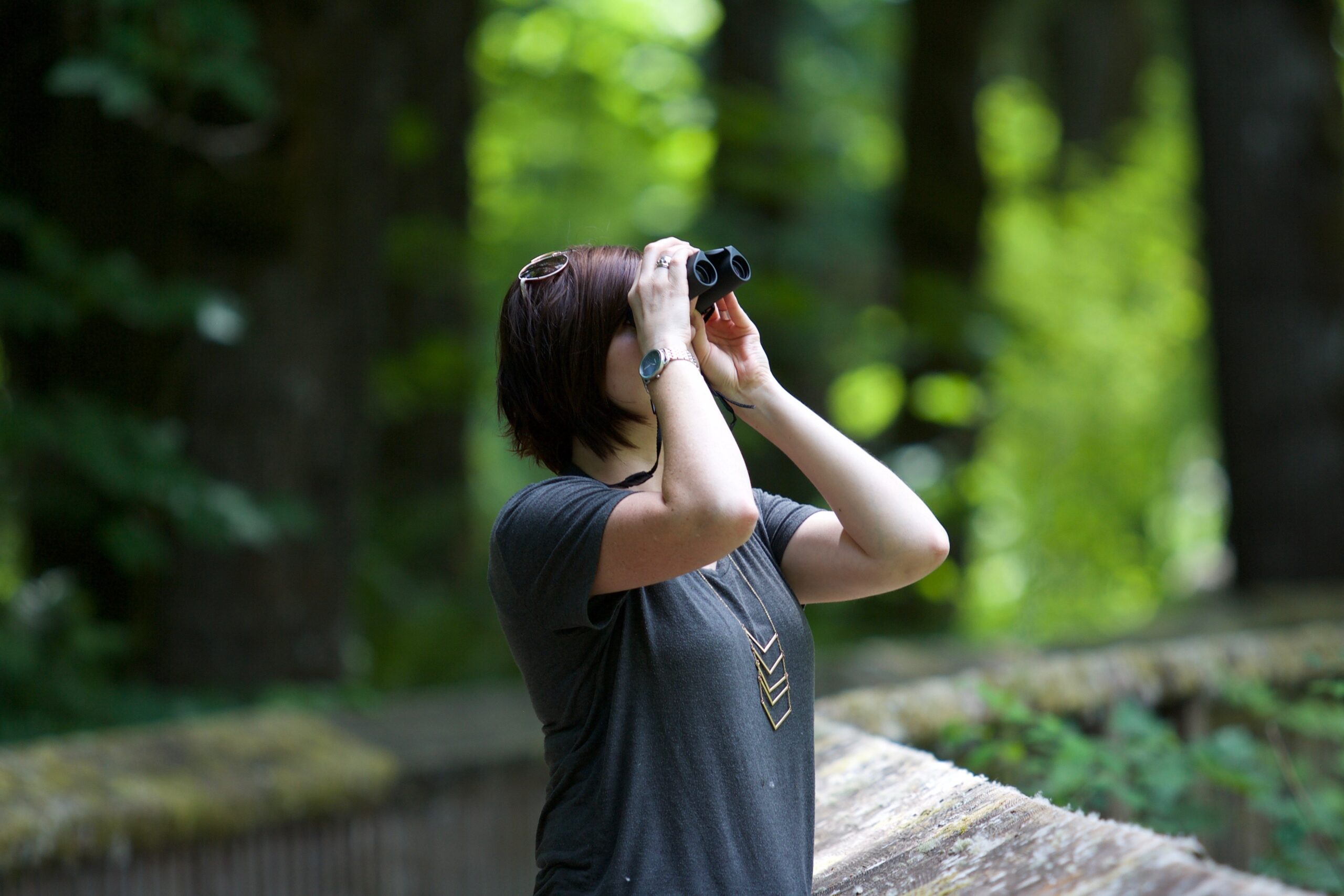 Binoculars,-Female-Observing-Bird-Watching