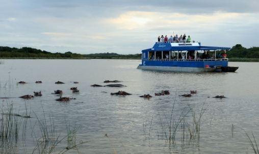 Hippopotamus_and_Hippo_tour_boat