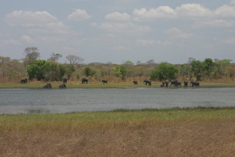 Kasungu-National-Park