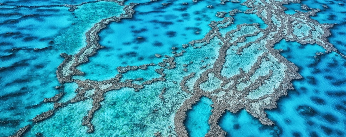 Seascape-of-Great-Barrier-Reef-in-Queensland-Australia