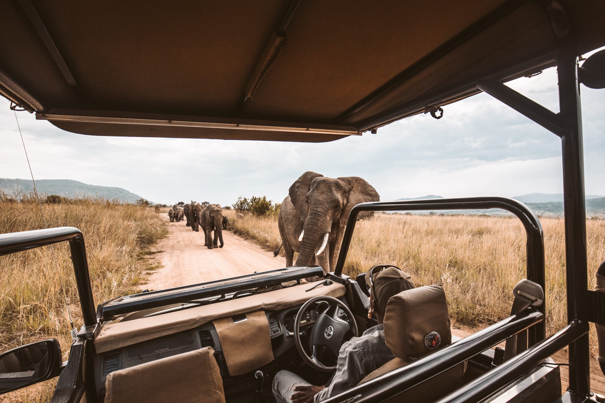 South-Africa-Safari-Toyota-Africa-Nature-Images-Gamedrive-