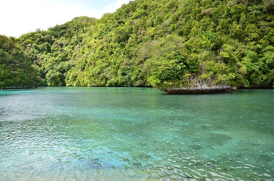 one-of-the-lake-in-palau