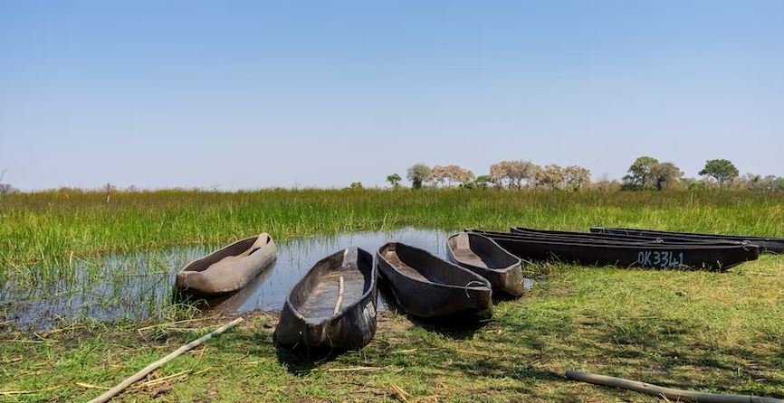 Botswana, Canoe Trip, Canoes, Canoe On River, Canoeing, Boats, Okavango Delta, Okavango, Waterway, Wildlife, Safari, Africa, Boat, Vehicle, Transportation, Rowboat, Canoe, Outdoors