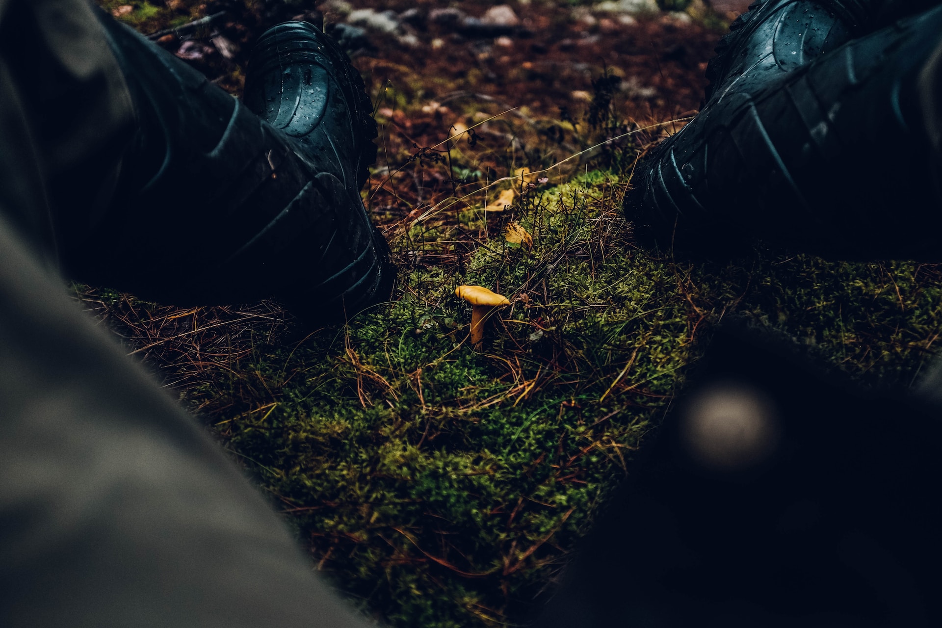 A Practical Guide to Selecting the Perfect Hunting Boots