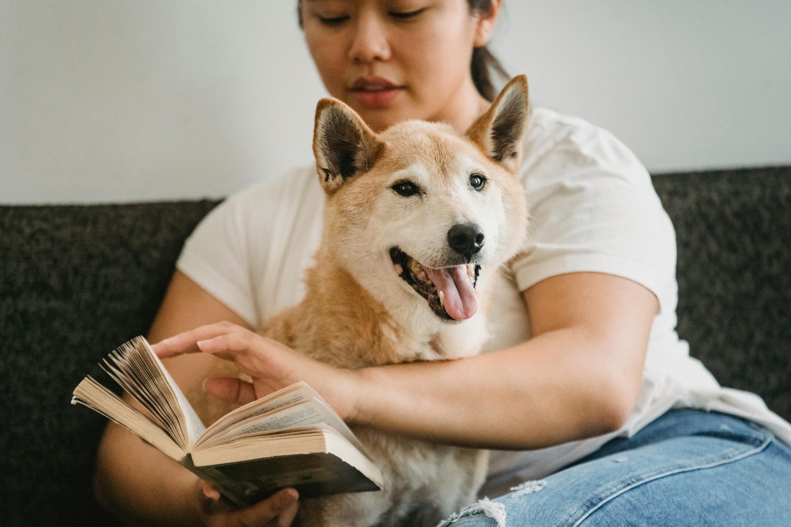 Keeping Your Dog Healthy - 5 Tips to Make Them Feel Better