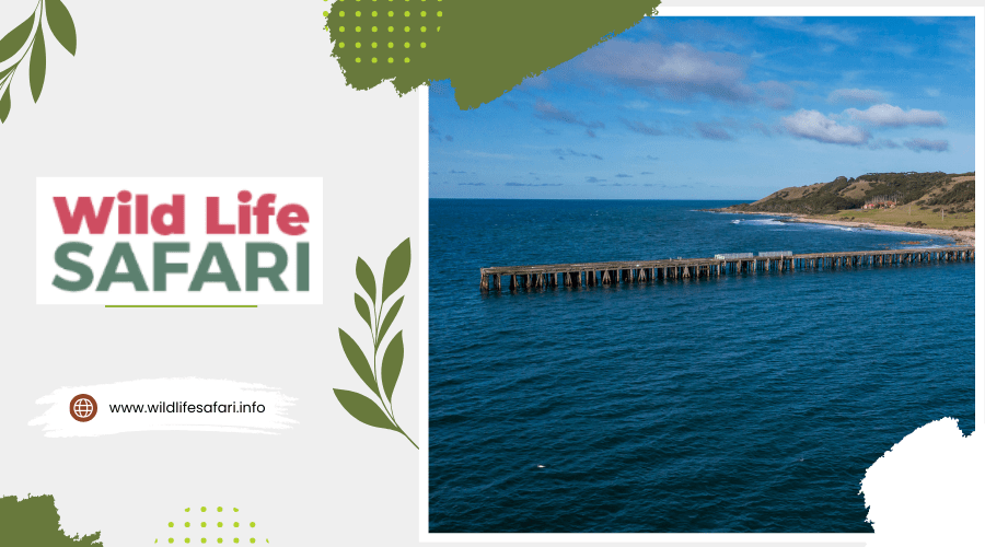 Drone aerial photograph of the Naracoopa Jetty on King Island